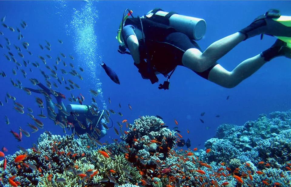 Diving & Snorkeling